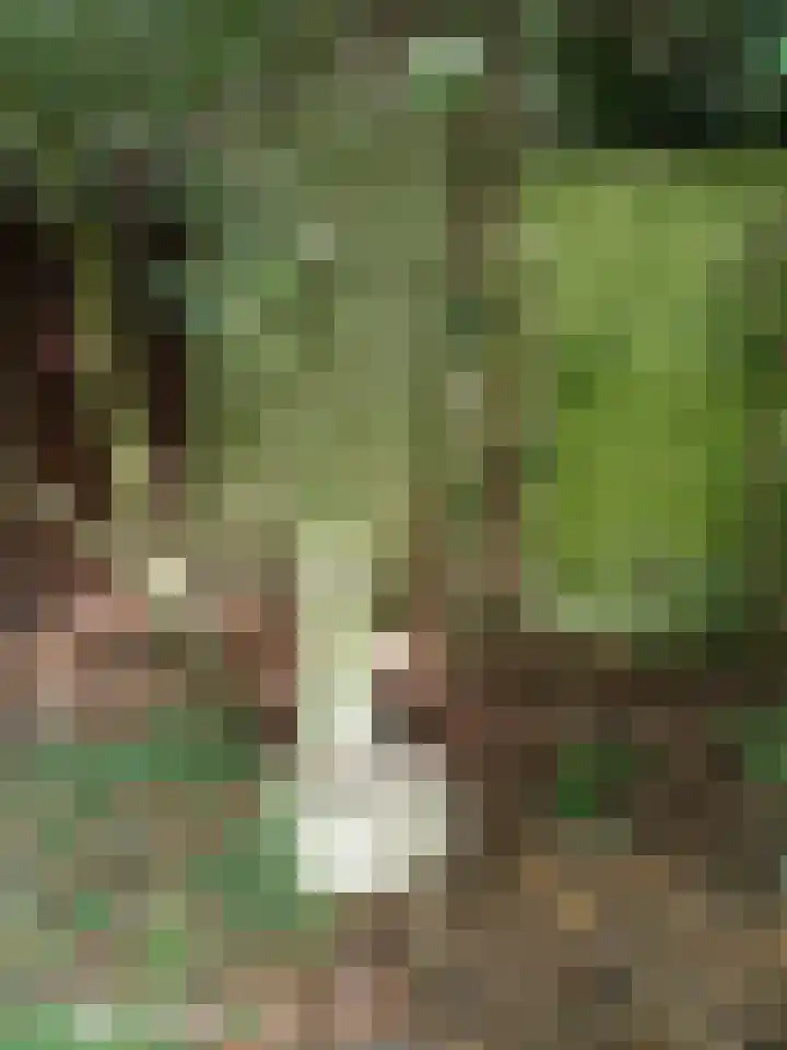 Sperwerlaan 11 Eindhoven thumbnail 31