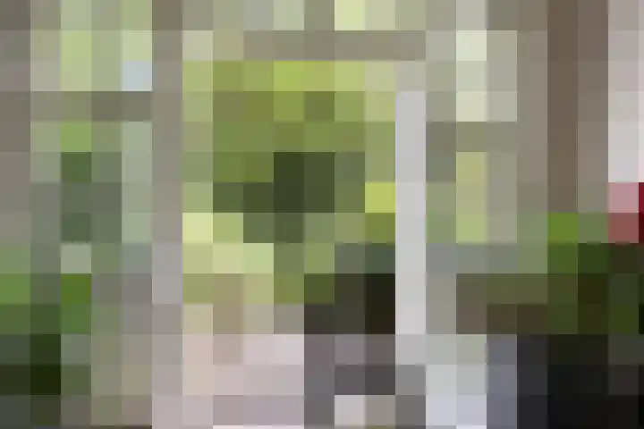 Sperwerlaan 11 Eindhoven thumbnail 7