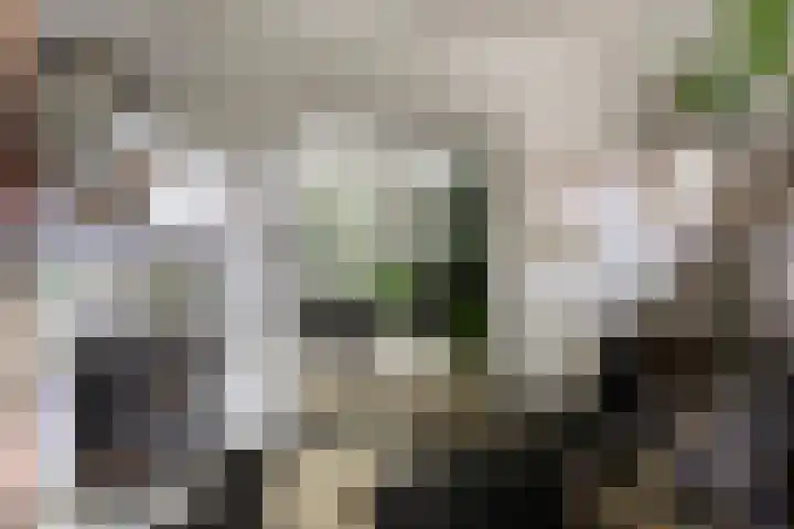 Sperwerlaan 11 Eindhoven thumbnail 9