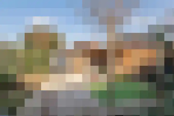 Sperwerlaan 150 Leerdam thumbnail 36