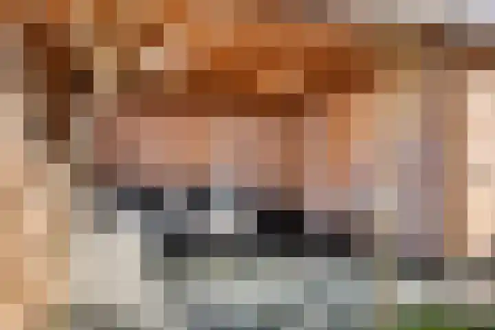 Sperwerlaan 150 Leerdam thumbnail 40