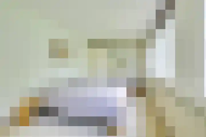 Sperwerlaan 36 Leerdam thumbnail 22
