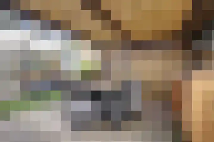 Sperwerlaan 36 Leerdam thumbnail 39