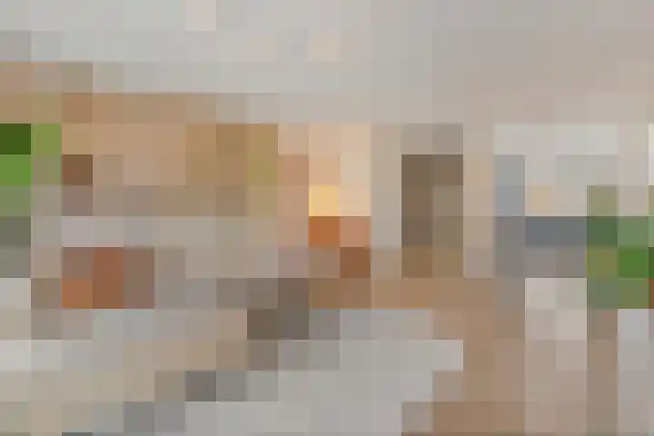 Sperwerlaan 36 Leerdam thumbnail 46