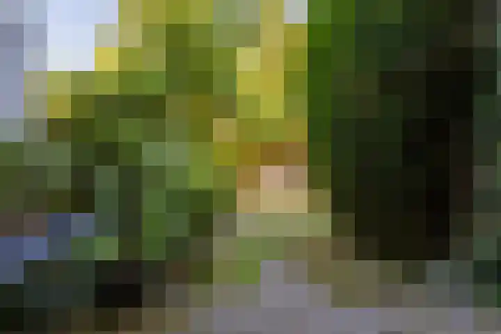 Sperwerlaan 4 A Eindhoven thumbnail 37