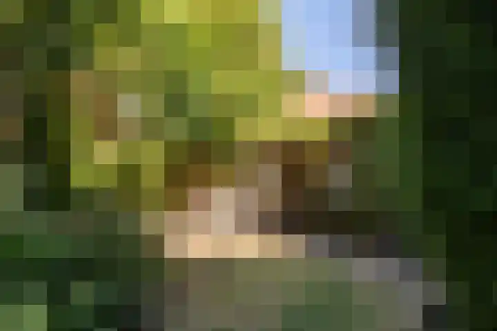 Sperwerlaan 4 A Eindhoven thumbnail 38
