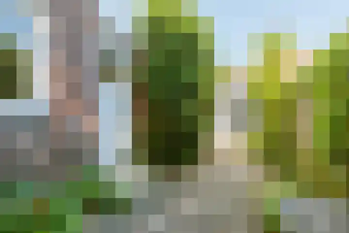Sperwerlaan 4 A Eindhoven thumbnail 43