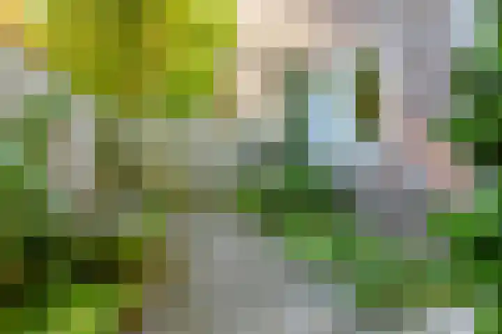 Sperwerlaan 4 A Eindhoven thumbnail 44