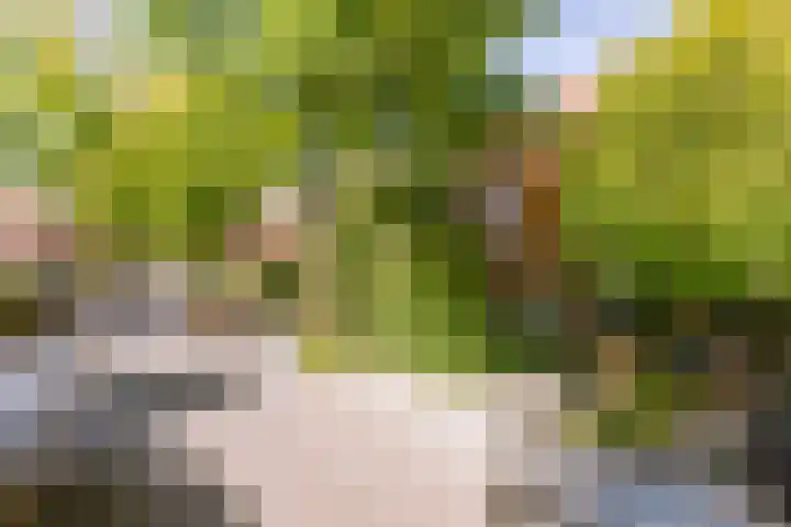 Sperwerlaan 4 A Eindhoven thumbnail 6