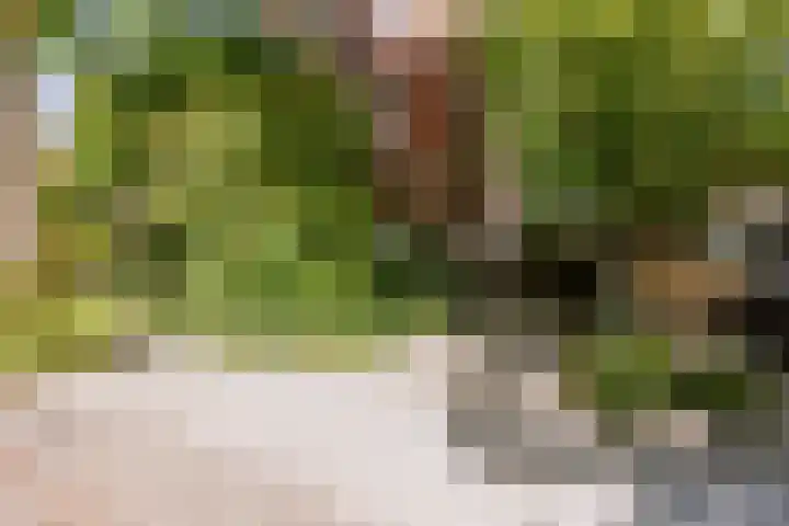 Sperwerlaan 4 A Eindhoven thumbnail 7