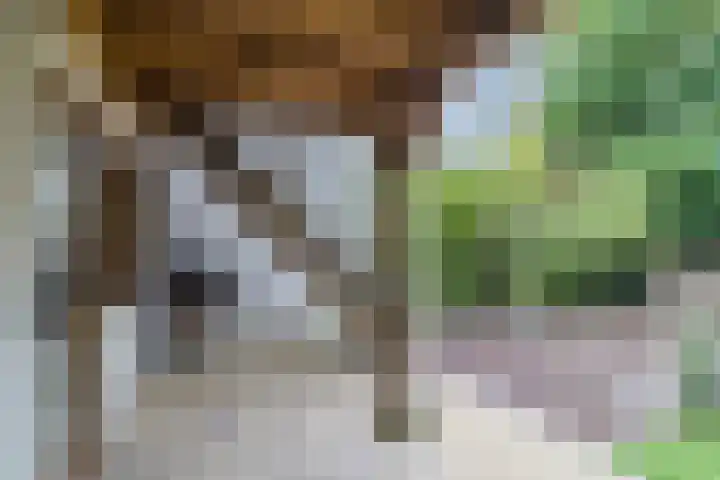 Sperwerlaan 4 Katwijk thumbnail 41