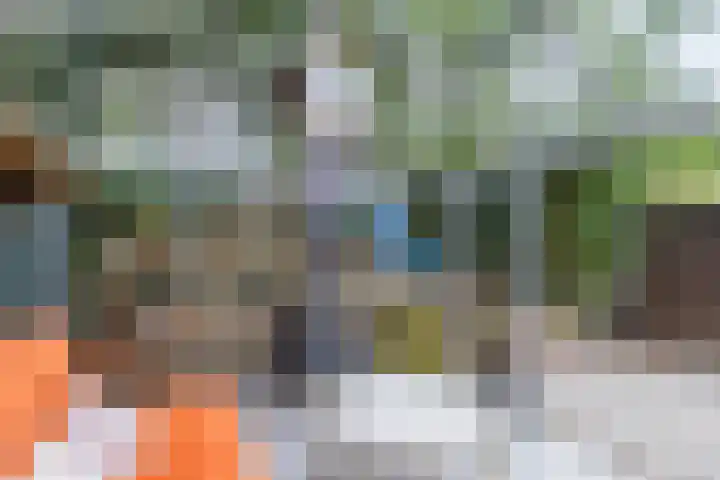 Sperwerlaan 4 Katwijk thumbnail 50