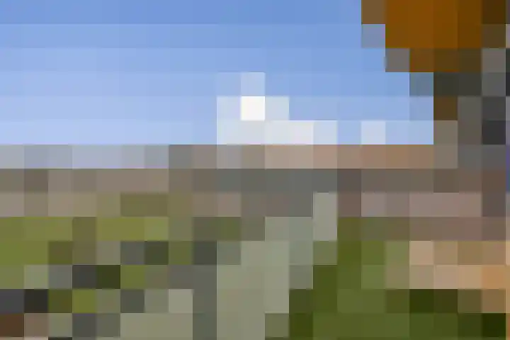 Sperwerlaan 487 Vlaardingen thumbnail 14