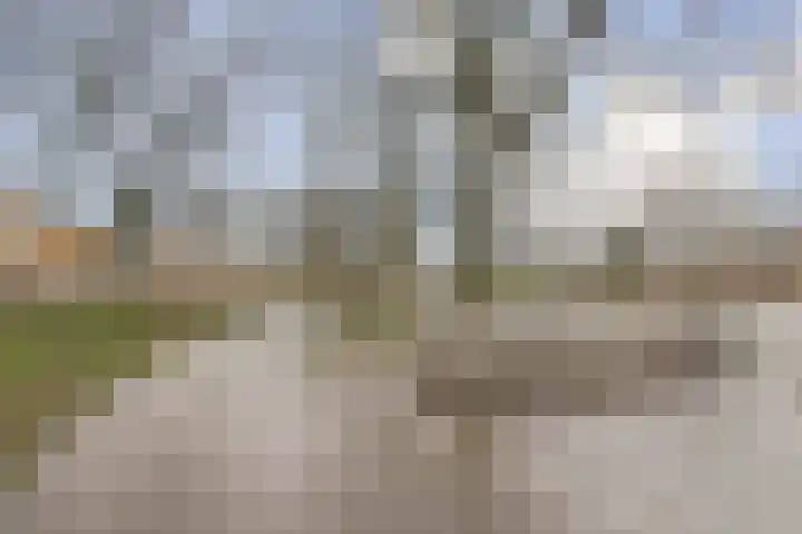 Sperwerlaan 487 Vlaardingen thumbnail 25