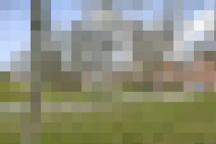 Sperwerlaan 487 Vlaardingen thumbnail 26