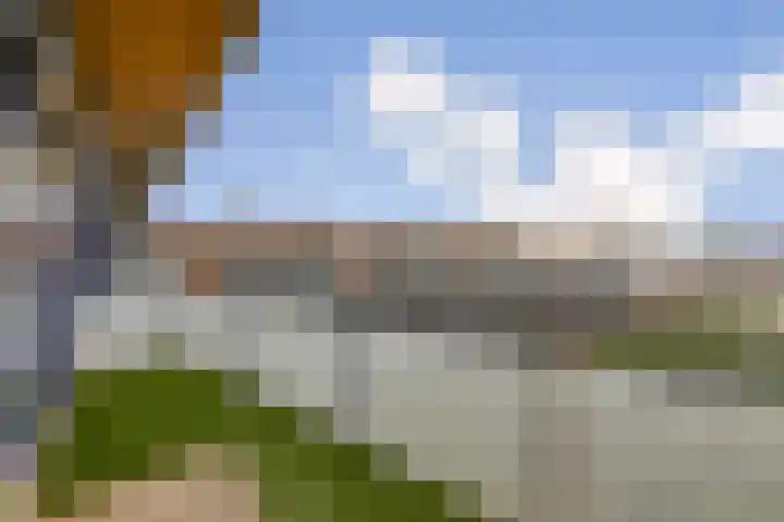 Sperwerlaan 487 Vlaardingen thumbnail 4