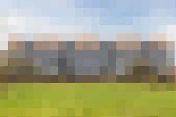 Sperwerlaan 489 Vlaardingen thumbnail 38