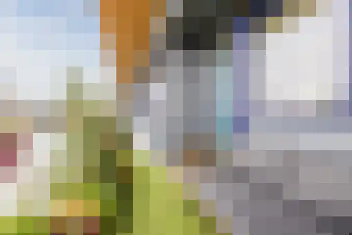Sperwerlaan 489 Vlaardingen thumbnail 6