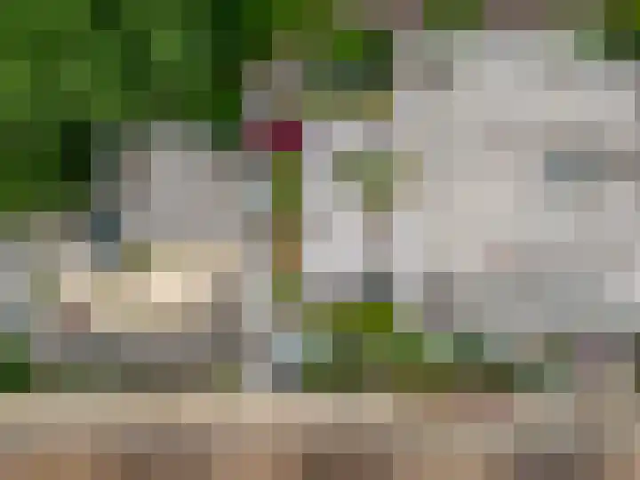 Sperwerlaan 5 B Bilthoven thumbnail 32