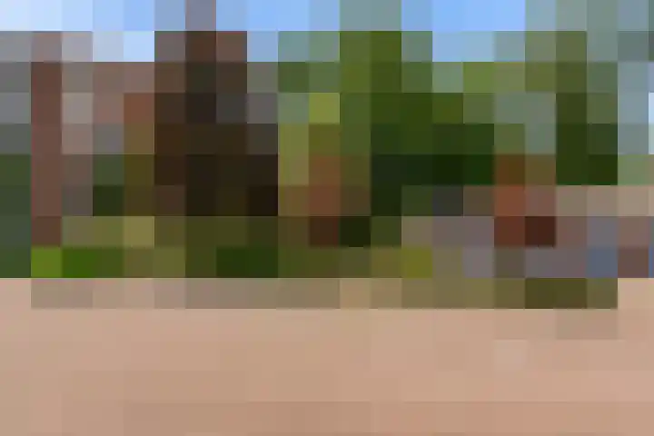 Sperwerlaan 5 B Bilthoven thumbnail 33