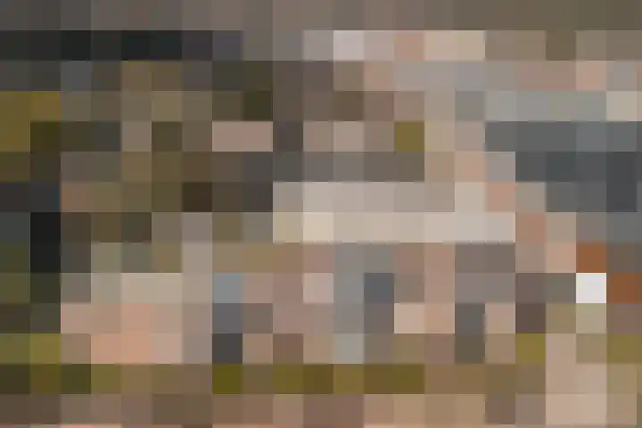Sperwerlaan 7 B Bilthoven thumbnail 32
