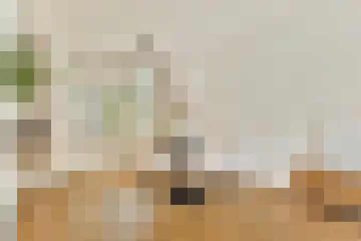 Sperwerlaan 8 A Amsterdam thumbnail 10