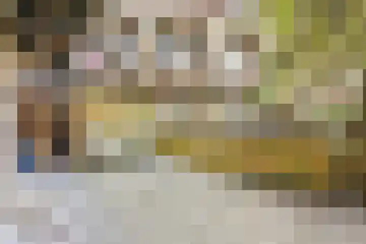 Sperwerlaan 8 A Amsterdam thumbnail 15