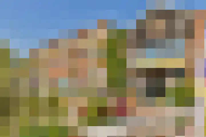 Sperwerlaan 8 A Amsterdam thumbnail 31