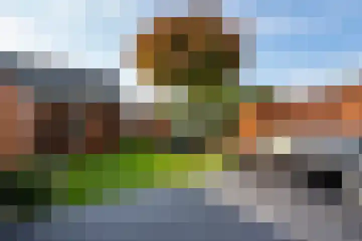 Sperwerlaan 90 Leerdam thumbnail 54