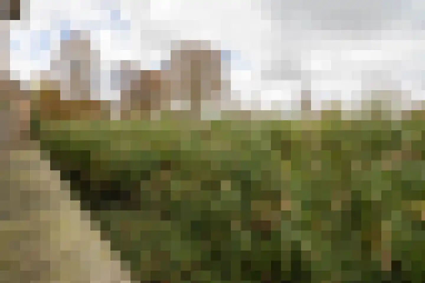 Sperwerstraat 17 Nieuwkoop thumbnail 23