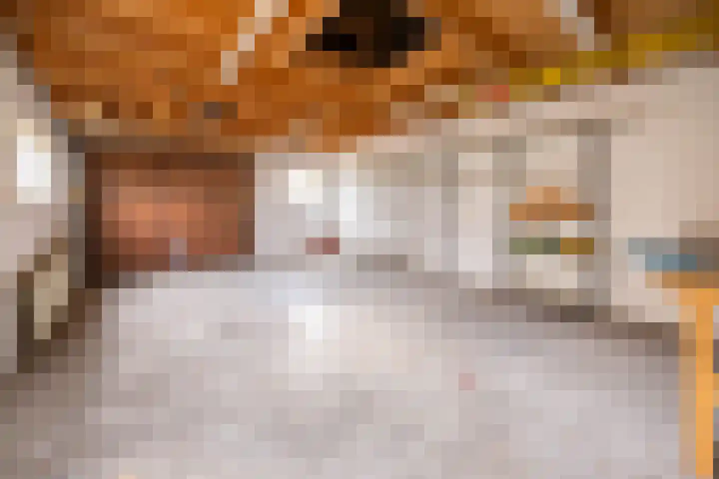 Sperwerstraat 17 Nieuwkoop thumbnail 28