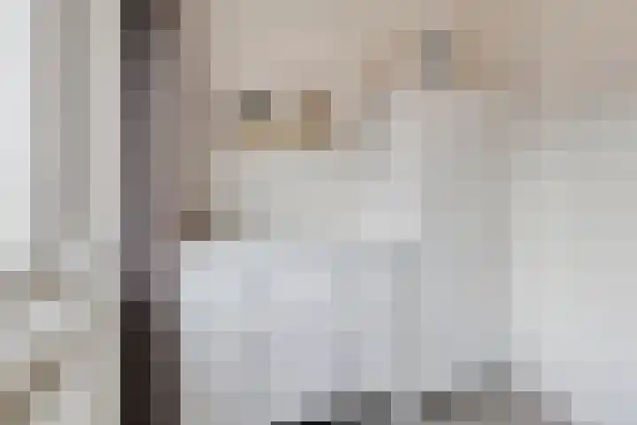 Sperwerstraat 20 Venray thumbnail 30