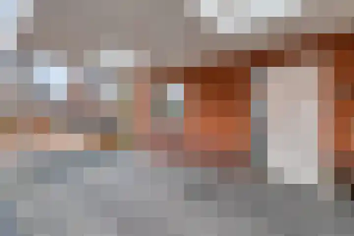 Sperwerstraat 20 Venray thumbnail 4