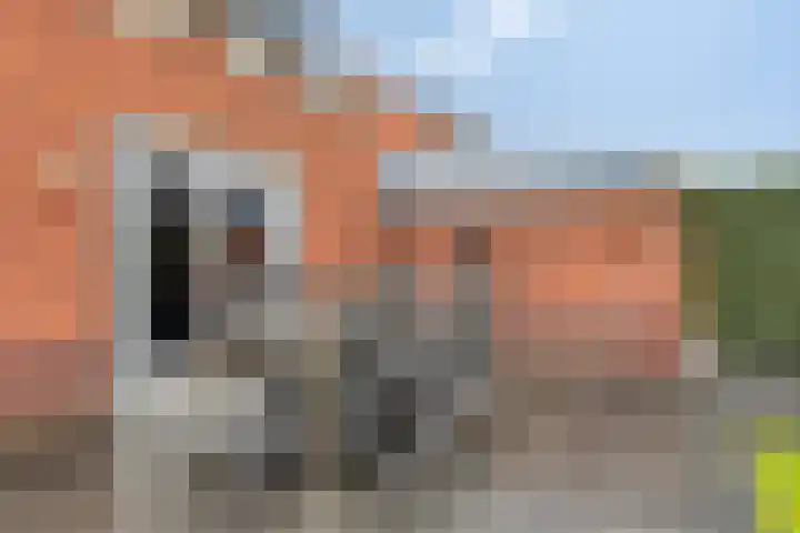 Sperwerstraat 20 Venray thumbnail 40