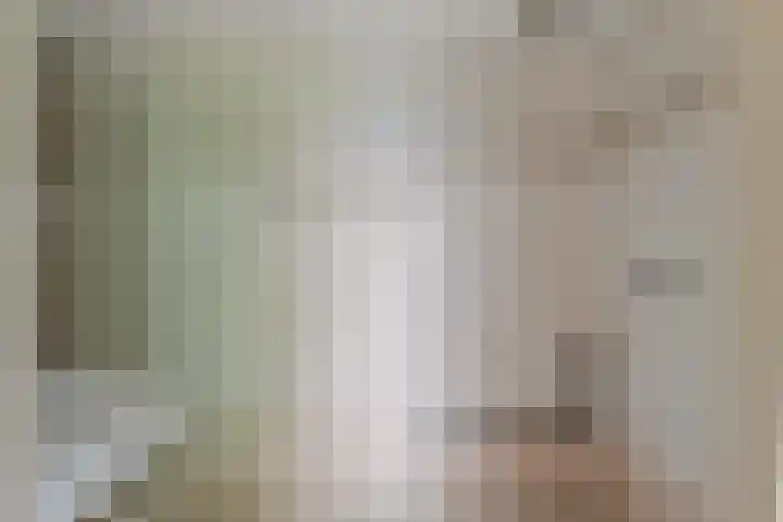 Sperwerstraat 46 Sliedrecht thumbnail 31