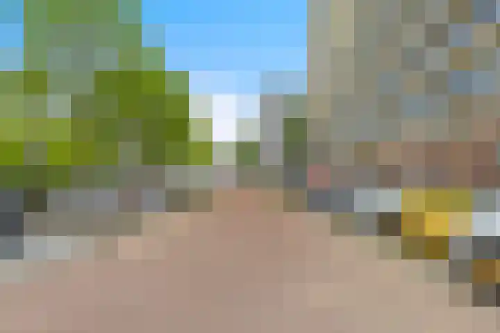 Sperwerstraat 46 Sliedrecht thumbnail 6