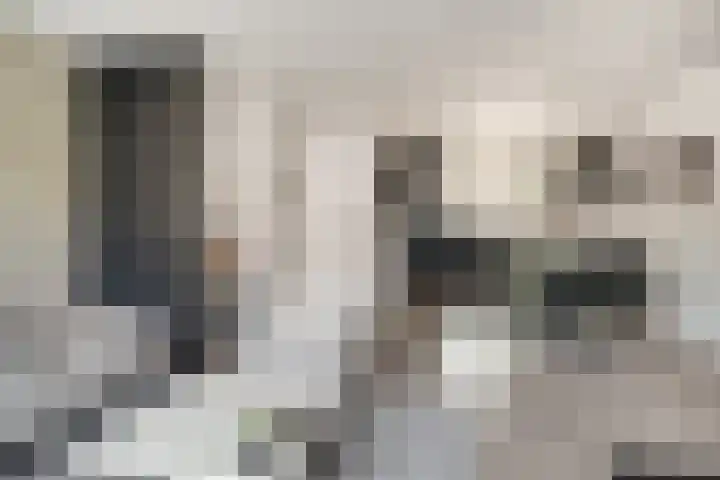 Sperwerstraat 55 Didam thumbnail 10