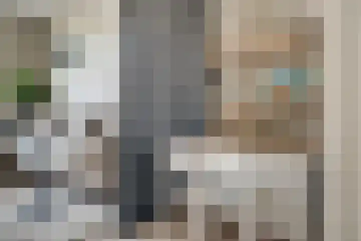 Sperwerstraat 55 Didam thumbnail 13