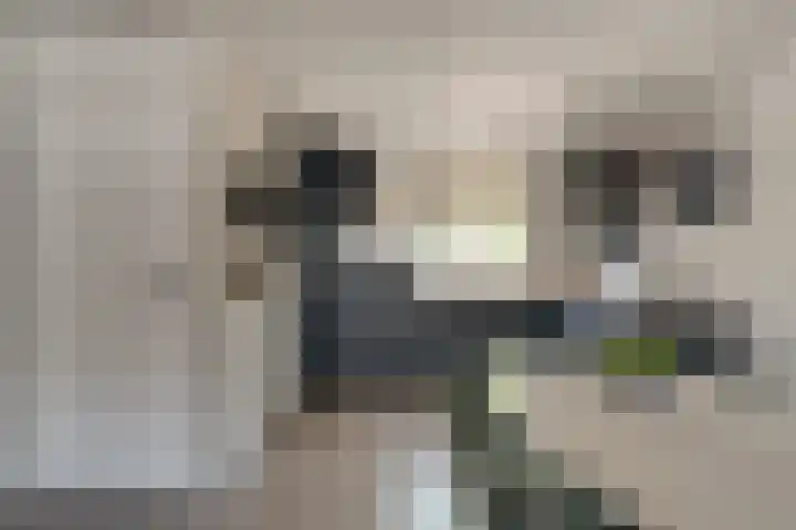 Sperwerstraat 55 Didam thumbnail 15