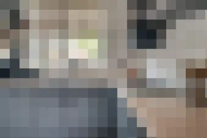 Sperwerstraat 55 Didam thumbnail 16
