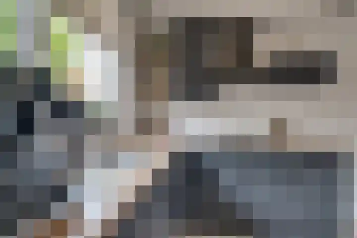 Sperwerstraat 55 Didam thumbnail 17