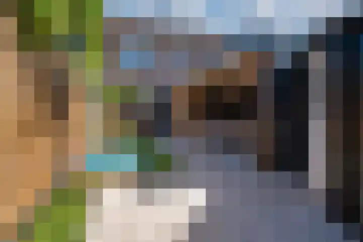 Sperwerstraat 55 Didam thumbnail 21