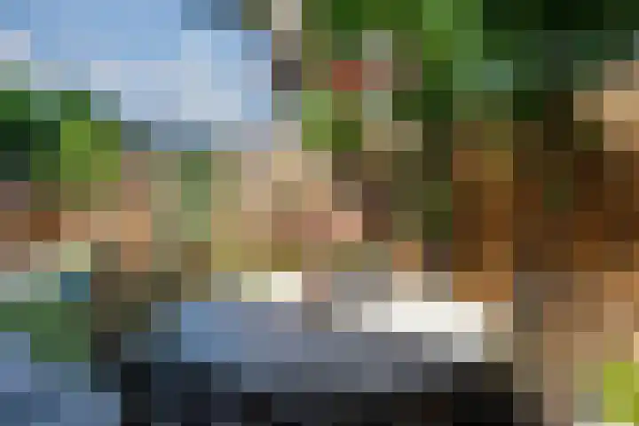 Sperwerstraat 55 Didam thumbnail 24
