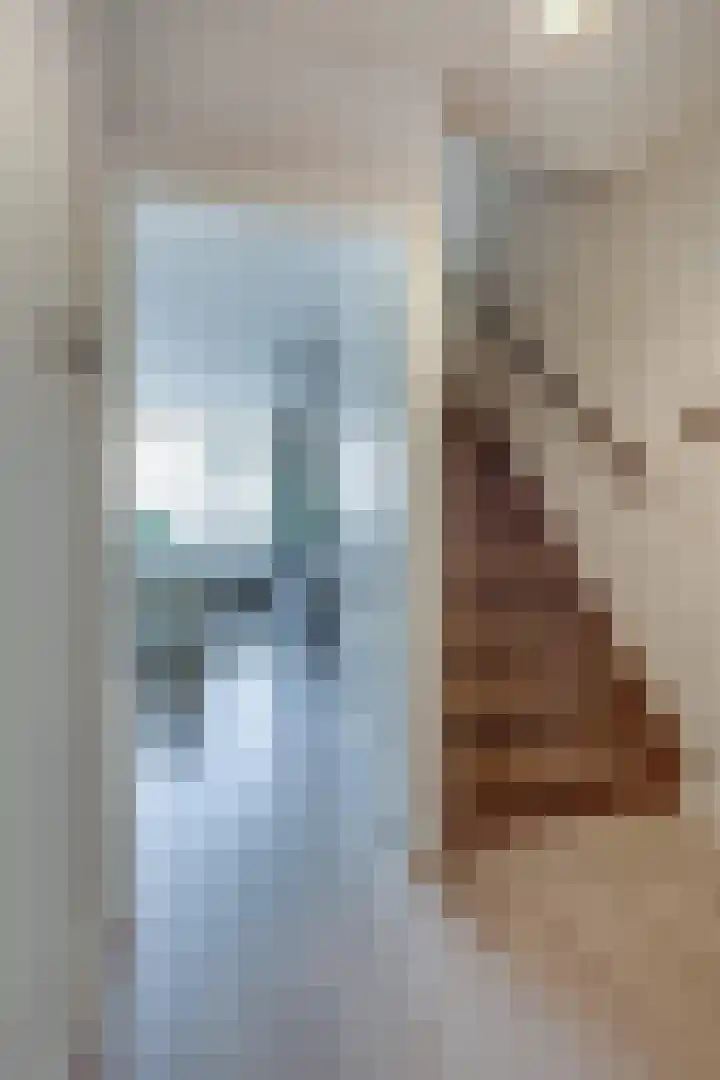 Sperwerstraat 55 Didam thumbnail 25