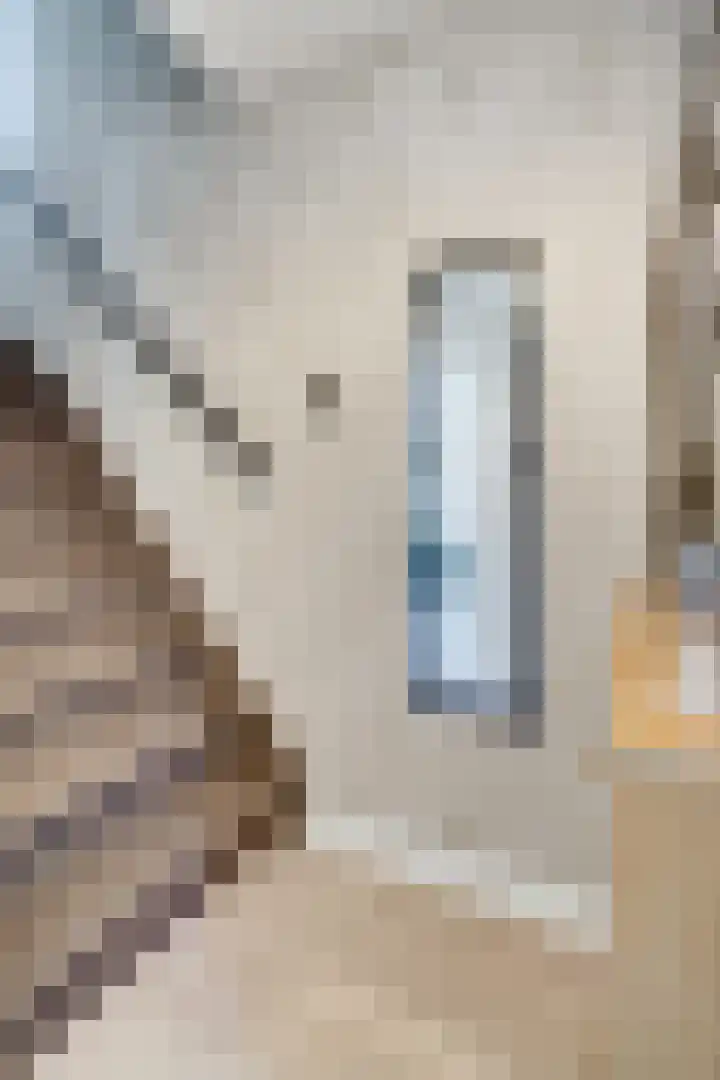 Sperwerstraat 55 Didam thumbnail 26