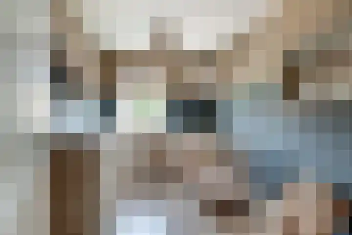 Sperwerstraat 55 Didam thumbnail 35