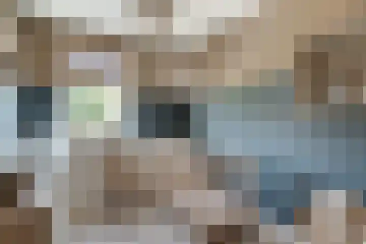Sperwerstraat 55 Didam thumbnail 36