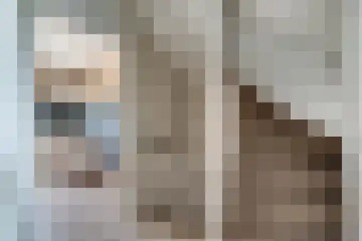 Sperwerstraat 55 Didam thumbnail 38
