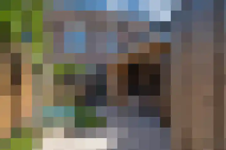 Sperwerstraat 55 Didam thumbnail 47