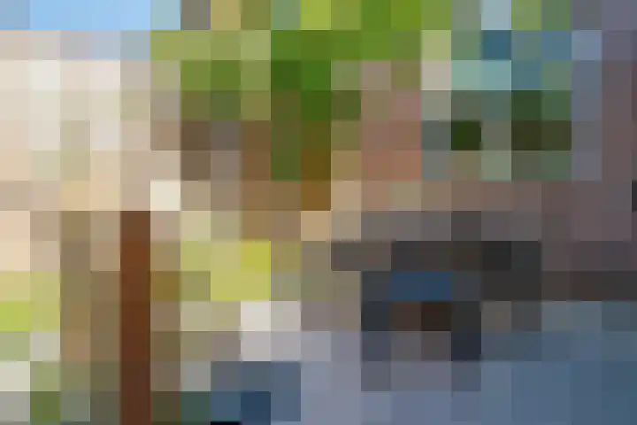 Sperwerstraat 55 Didam thumbnail 49